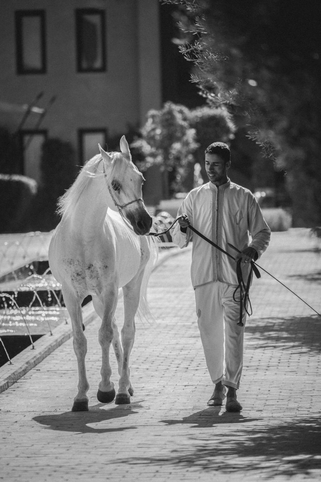 Selman Marrakech Hotel Marrakesh Esterno foto